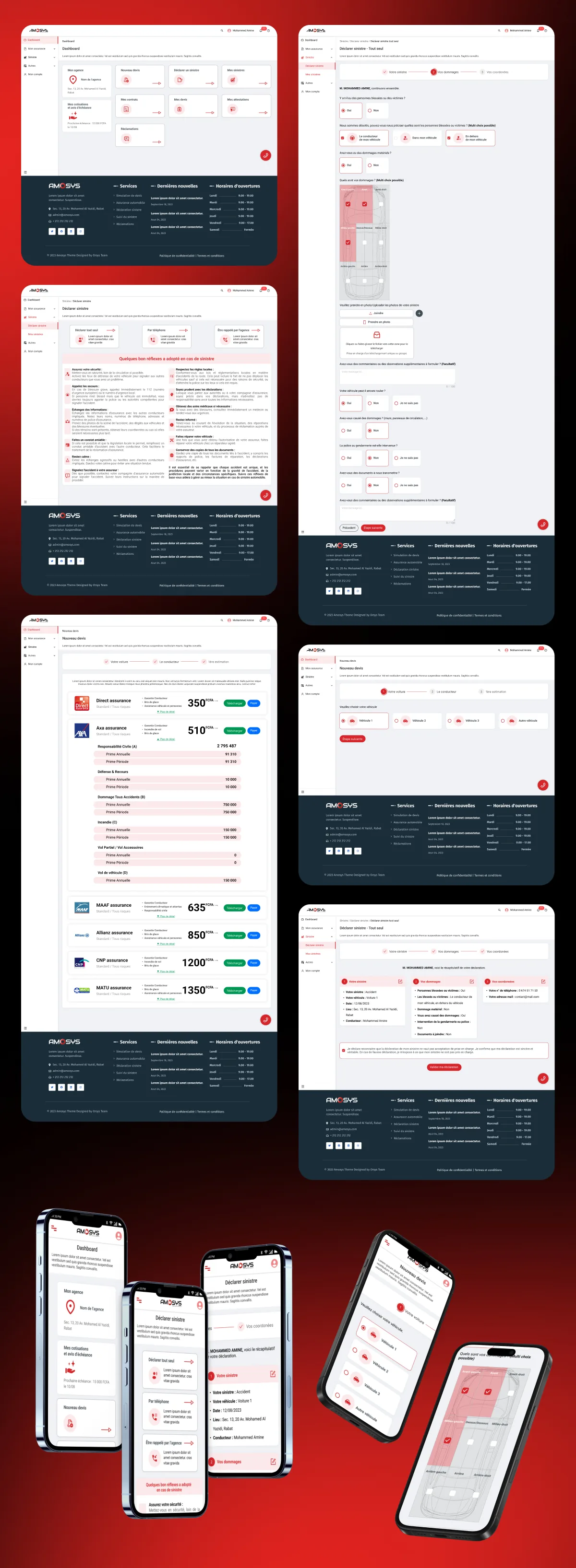 Interface AMOSYS